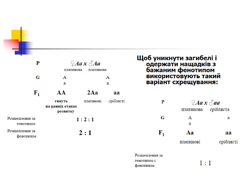 Щоб уникнути загибелі і одержати нащадків з бажаним фенотипом використовують такий варіант схрещування: